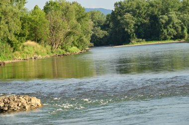 amazing view of the river with trees