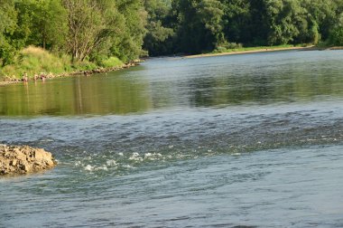 amazing view of the river with trees