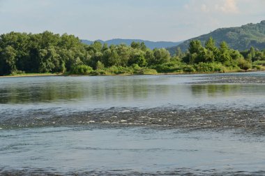 amazing view of the river with trees