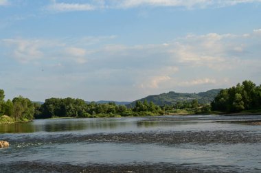 amazing view of the river with trees