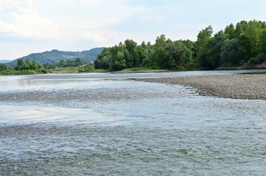 amazing view of the river with trees