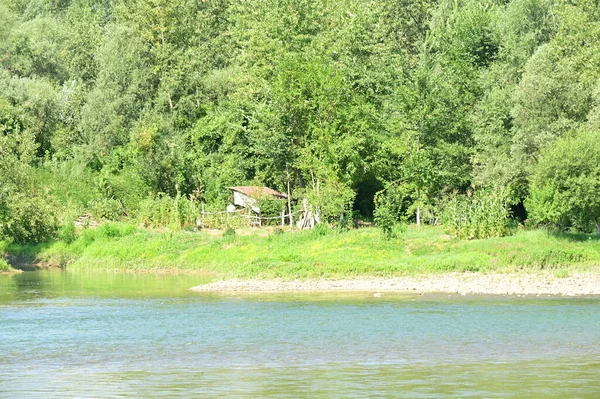 Amazing View River Trees — Stok Foto