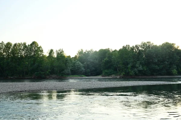 Amazing View River Trees — 스톡 사진