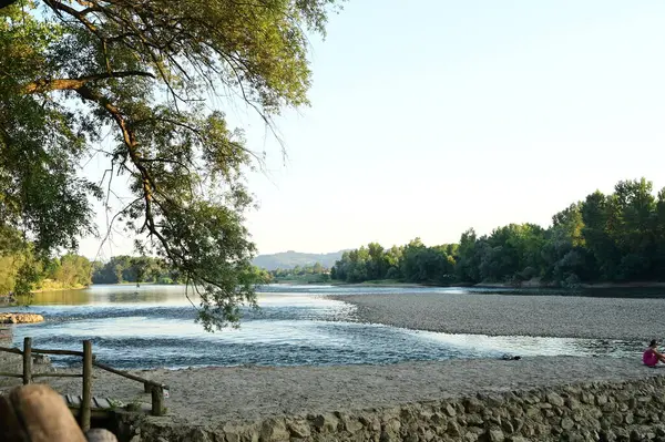 Amazing View River Trees — Zdjęcie stockowe