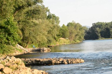 amazing view of the river and green trees at daytime