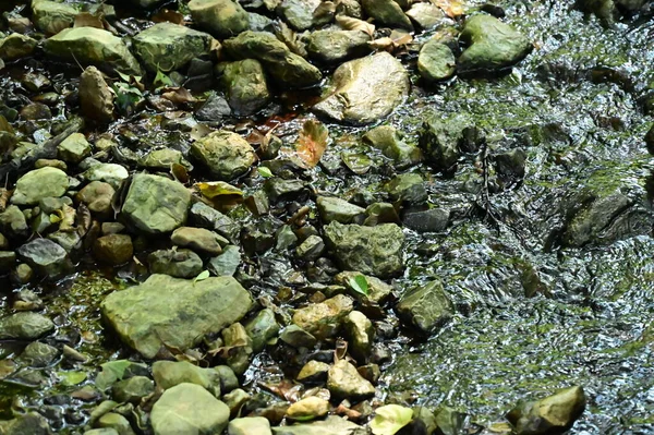 Prachtig Rivierwater Bergen — Stockfoto