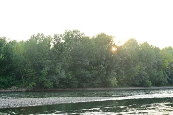 Amazing View River Green Trees Daytime — Zdjęcie stockowe