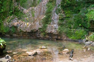 amazing view of the river and green trees at daytime