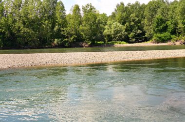 amazing view of the river and green trees at daytime