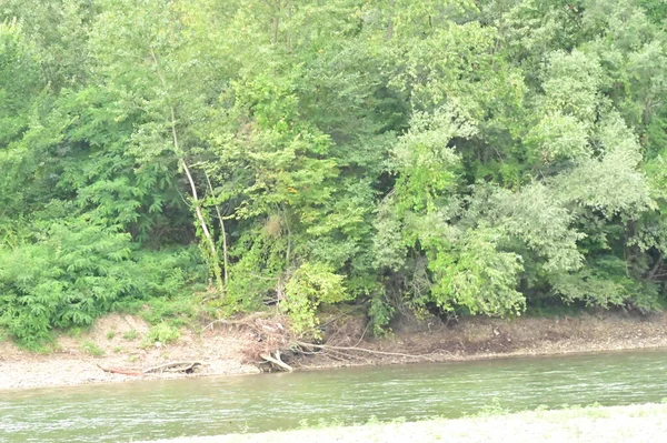 Amazing View River Green Trees Daytime — ストック写真