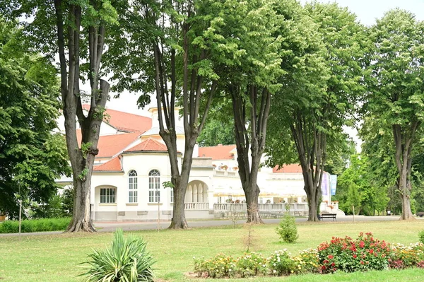 Vacker Utsikt Över Parken — Stockfoto