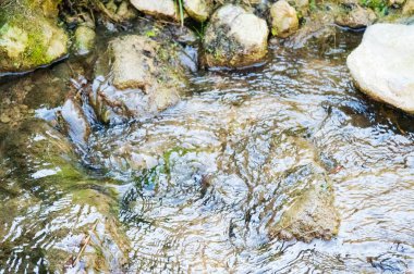 Parktaki şelalenin güzel manzarası