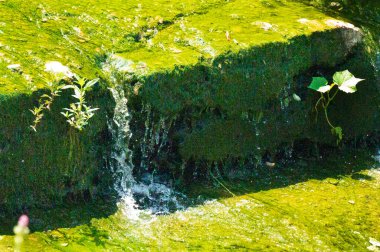 Parktaki şelalenin güzel manzarası