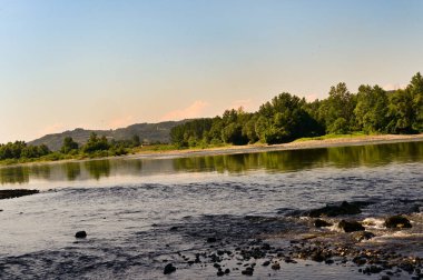 amazing view of the river and green trees at daytime