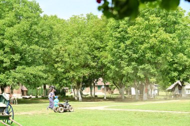 Sırbistan 'daki güzel yaz parkında insanlar dinleniyor