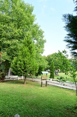 Parkın güzel manzarası