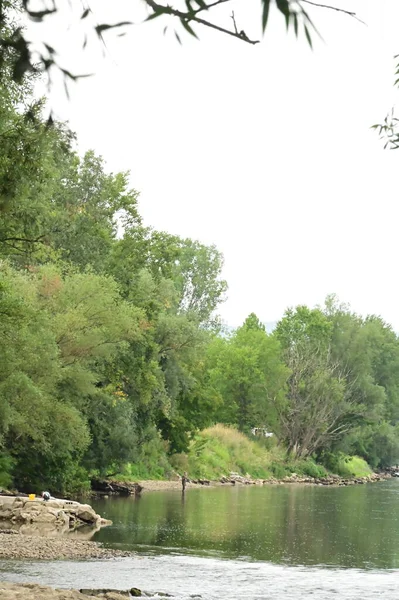 Καταπληκτική Θέα Του Ποταμού Και Πράσινα Δέντρα Κατά Διάρκεια Της — Φωτογραφία Αρχείου