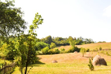 Kırsal alanda büyük bir saman yığını var.