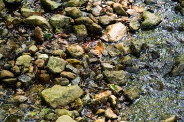 Dağlardaki güzel nehir suyu