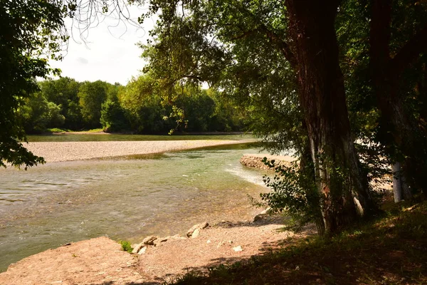 Amazing View River Green Trees Daytime — Stok fotoğraf