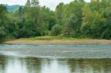 amazing view of the river and green trees at daytime