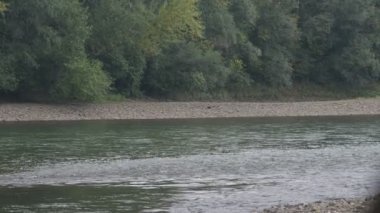 amazing view of the river with trees