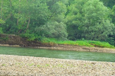 amazing view of the river and green trees at daytime