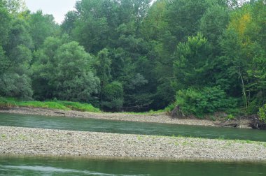 amazing view of the river and green trees at daytime