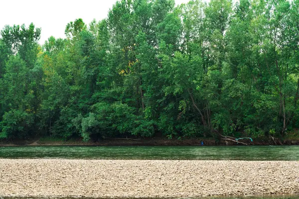 Amazing View River Green Trees Daytime — ストック写真