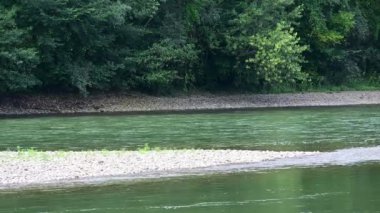 amazing view of the river with trees