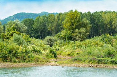 amazing view of the river with mountains on the background