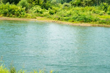 amazing view of the river at daytime