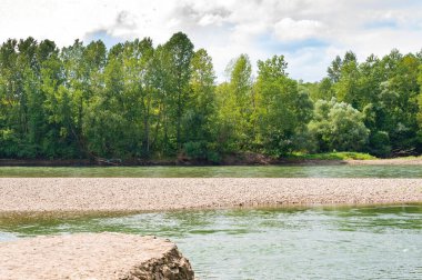 amazing view of the river with trees