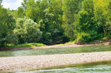 amazing view of the river with trees