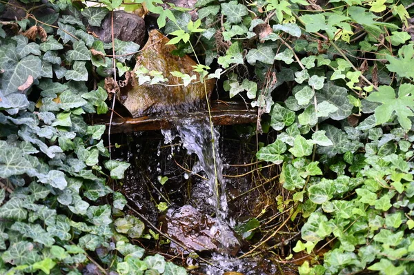 Bela Cachoeira Floresta — Fotografia de Stock