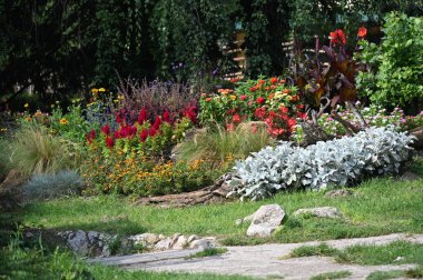 Bahçede büyüyen güzel çiçekler