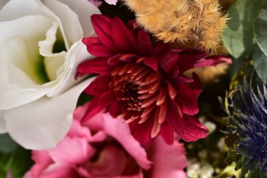 Çiçeklerin güzel bileşiminin yakın görüntüsü