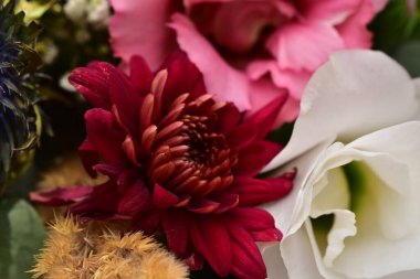 Çiçeklerin güzel bileşiminin yakın görüntüsü