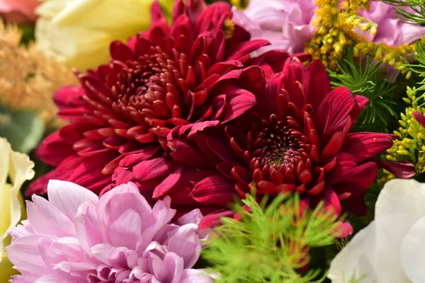 Çiçeklerin güzel bileşiminin yakın görüntüsü