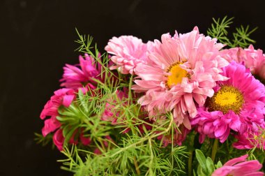 Koyu arkaplanda güzel pembe çiçekler.