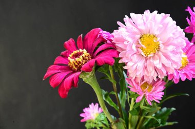 Koyu arkaplanda güzel pembe çiçekler.