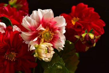 Buketteki güzel çiçekler, yakın çekim.