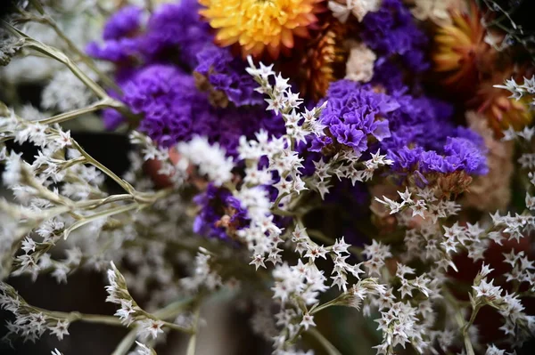 美丽的干花束 — 图库照片