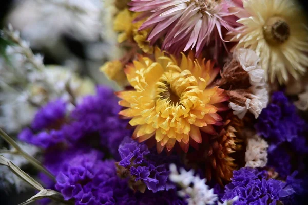 Piękny Bukiet Suszonych Kwiatów Widok Bliska — Zdjęcie stockowe