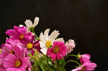 Siyah arkaplanda güzel beyaz ve pembe çiçekler