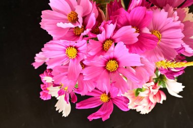 Siyah arkaplanda güzel beyaz ve pembe çiçekler