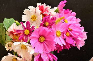 Siyah arkaplanda güzel beyaz ve pembe çiçekler