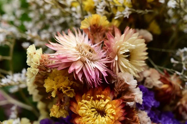 Beautiful Flowers Bouquet Close — Stock Photo, Image
