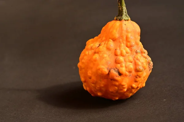 Calabaza Naranja Madura Sobre Fondo Oscuro — Foto de Stock
