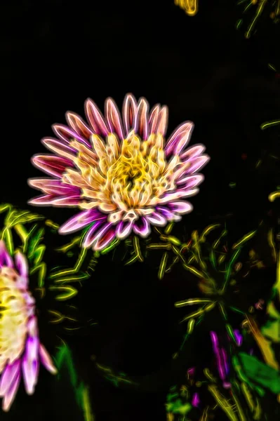 Piękne Kwiaty Bukiet Zbliżenie — Zdjęcie stockowe